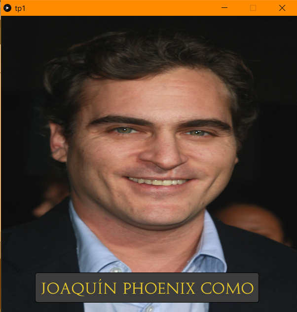 Imagen de Joaquín Phoenix