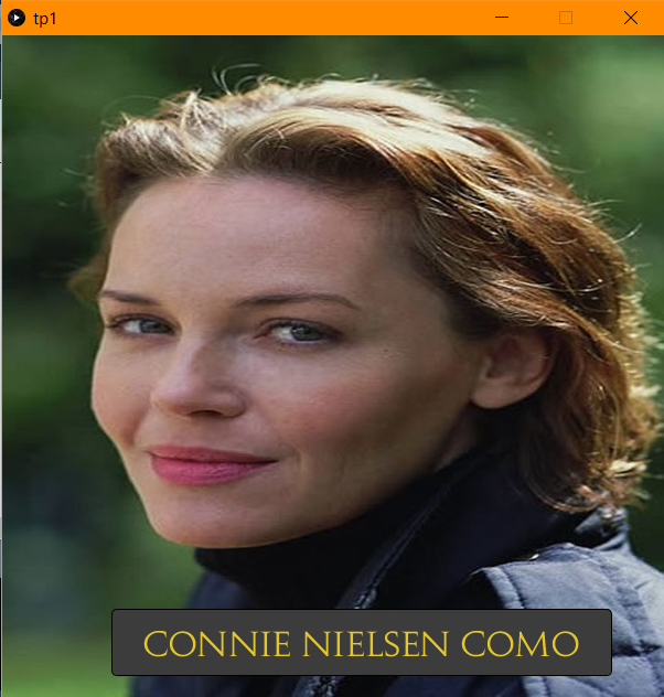 Imagen de Connie Nielsen